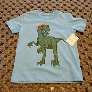 Planet Cotton Boys Dinosaur Shirt